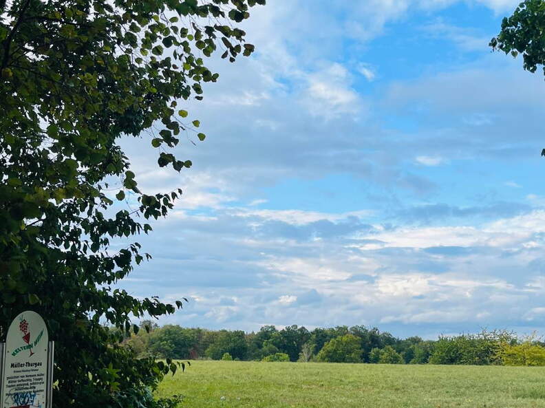 22-09-10 18-01-14 1979